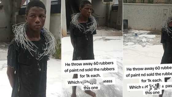 "Wickedness": Boy wastes over N1 million worth of paint, sells empty buckets for N1k each, video sparks uproar