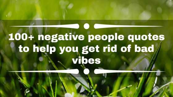 100+ negative people quotes to help you get rid of bad vibes