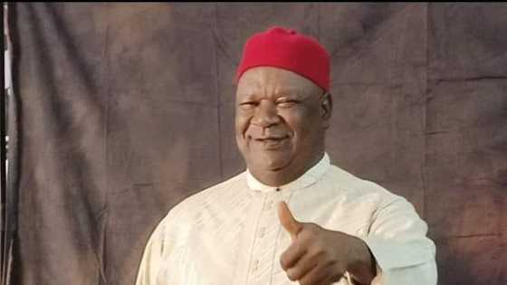 Nigerian ex-Senate president to succeed Buhari? Governor rallies support