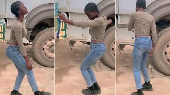"Queen of the road": Female truck driver busts dance moves beside her vehicle, video goes viral on TikTok