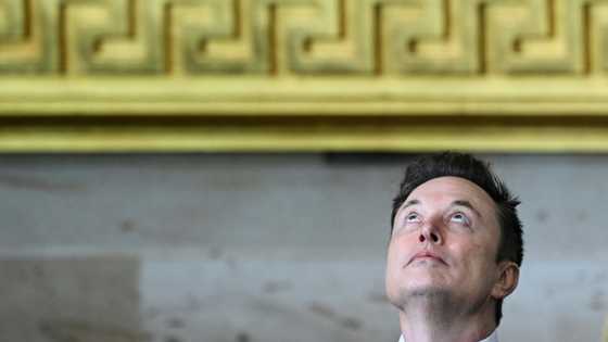 Elon Musk says has no plans to acquire TikTok's US operations