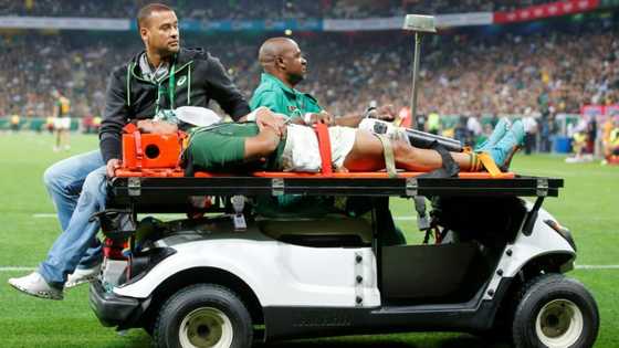 Red-carded Springbok Arendse banned for four matches