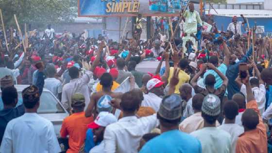 APC stakeholders raise alarm over plot by opposition parties to take over Kano, northwest