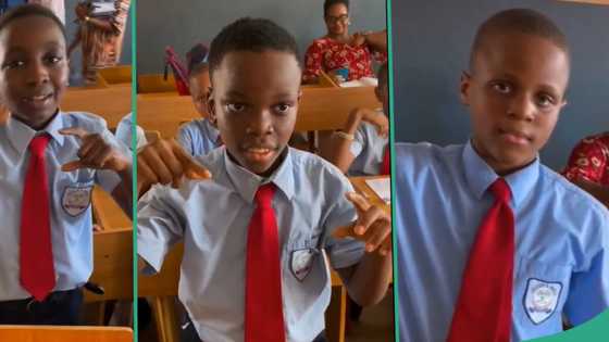 "Mental maths": Smart little children give quick answers to complex questions in class