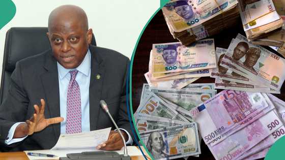 CBN releases latest naira exchange rate against dollar, pounds, euro 7 other currencies