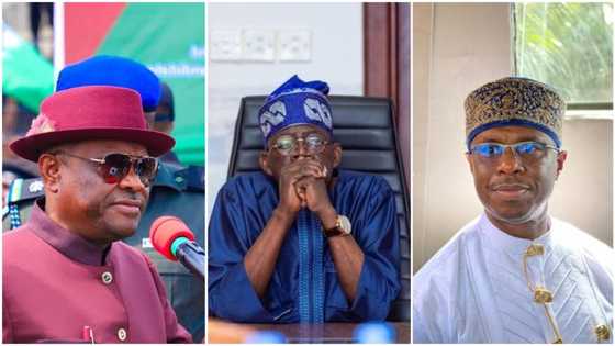 2023 presidency: Is Wike supporting Tinubu? Buhari's former appointee speaks