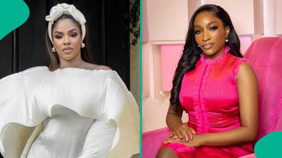 Sommie Maduagwu: BBN's Venita Akpofure shares relationship with Arise TV anchor: "I cried badly"