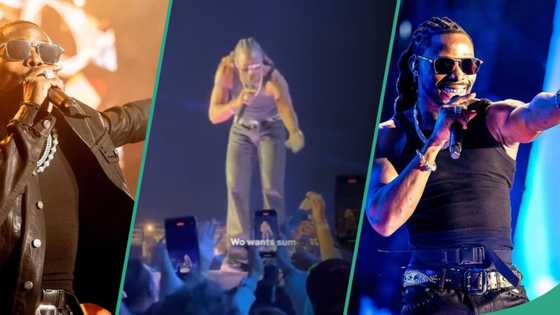“Na d show wey Burna reject be this?” Asake’s Dubai show goes viral, shares Dollar to his fans