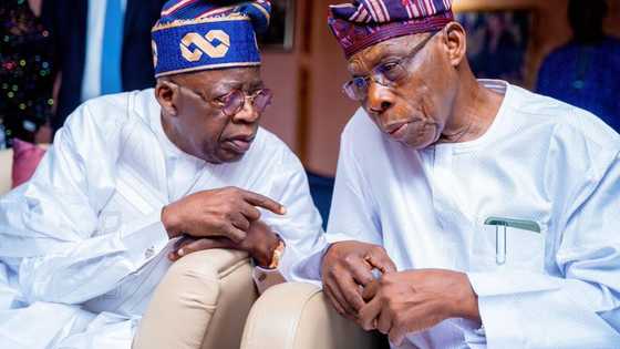 Peter Obi’s endorsement: Tinubu attacks Obasanjo, reveals top secrets