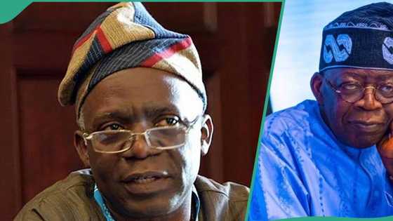 Falana speaks on implications of Tinubu being petroleum minister, president