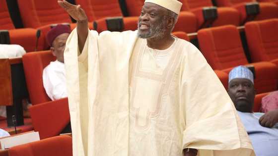 2023: Current political realities favour Osinbajo, says Senator Adeyeye