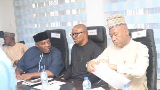 2023 elections: Peter Obi suspends presidential campaign, gives reason