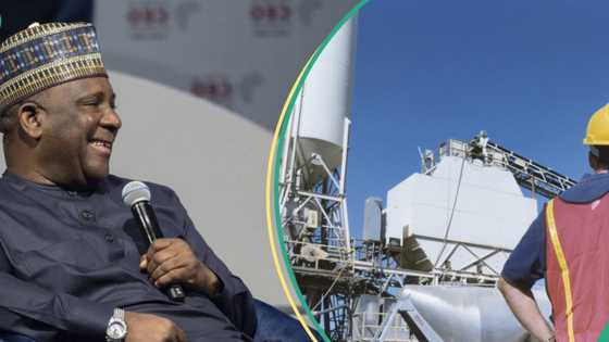 Dangote’s rival BUA set to open new cement plant after price crash