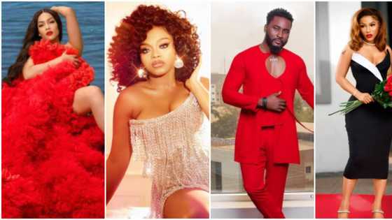 Lovely photos as Erica, Liquorose, and other ex-BBNaija stars rock stunning outfits on Valentine’s Day