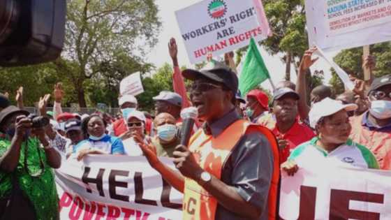 Babbar magana: Ma'aikatan wutar lantarki za su mamaye Najeriya domin taya ASUU zanga-zangar nuna fushi