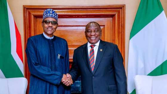 Xenophobia: Protect Nigerians living in South Africa - Buhari tells Ramaphosa