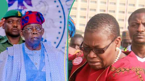 "Bitter leaf gang": Tinubu's aide, netizens, slams Ezekwesili over comment on CSU certificate