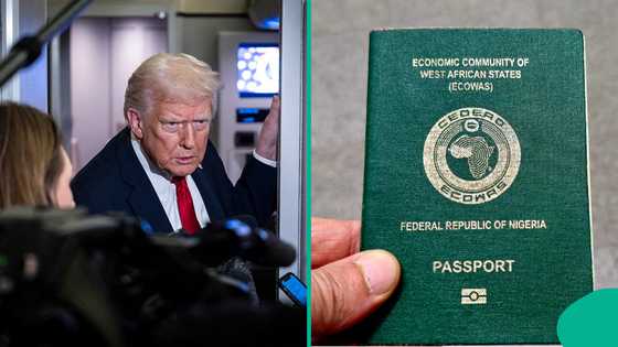 Japa: Trump moves to possibly ban Nigerians, others from relocating to US, gives reason