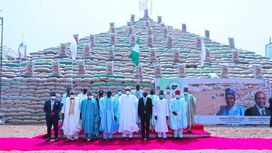 Gwamnatin Tarayya ta fara rabon buhunan abinci kamar yadda Buhari ya bada umarni