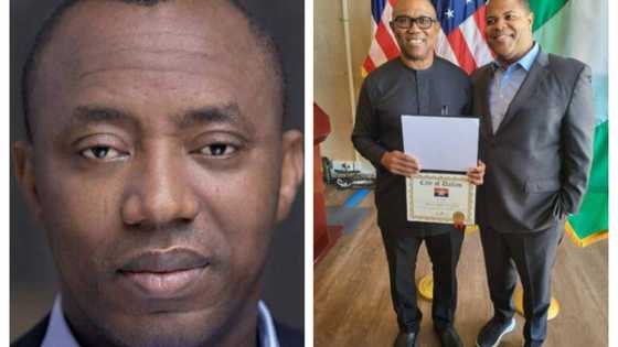 Sowore mocks Peter Obi for celebrating US honourary award