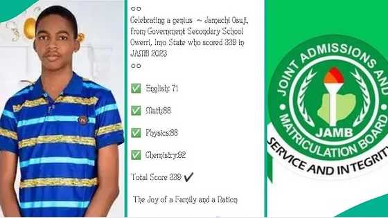 JAMB: 3 Nigerian students who smashed academic record after hitting high scores in past UTMEs