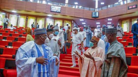 Medical Trip: Buhari did not communicate to us about Osinbajo’s acting position, NASS declares