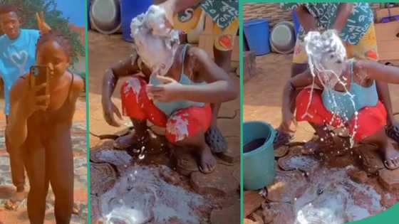"He has been waiting for this all his life": Lady shows her brother washing her hair with force