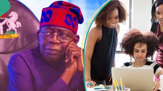 Apply with link: FG announces new grants for Nigerian business owners to expand, employ