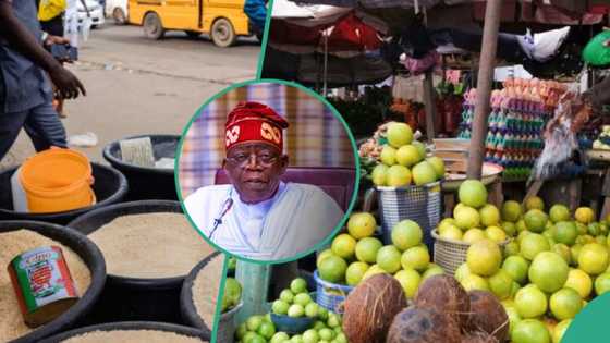 Expert offers solutions as Kogi, Lagos lead list of Nigeria’s 10 most expensive states to live