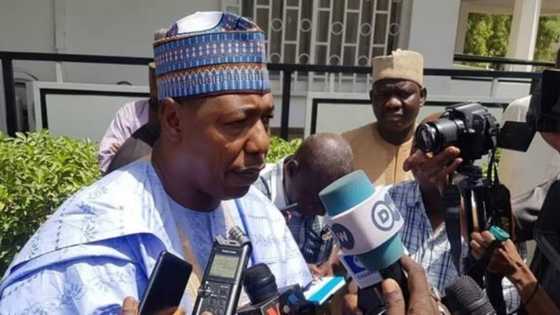 Akwai 'yan Boko Haram a kowacce kabila ta kasar nan - Gwamnan Borno