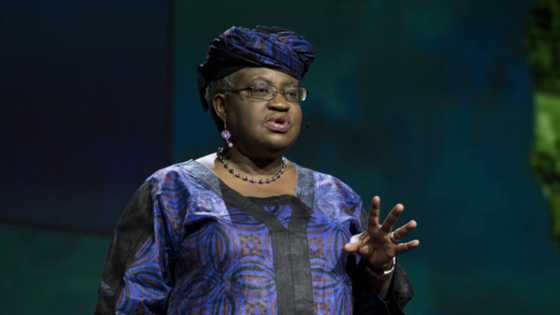 Ex-finance minister, Okonjo-Iweala bags fresh international appointment