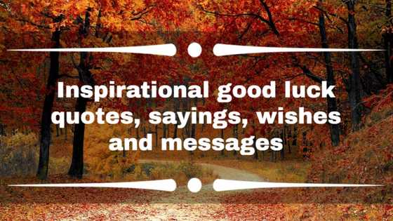 Inspirational good luck quotes, sayings, wishes and messages