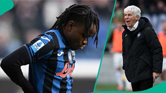 Lookman missed open goal, Gasperini apologises to Atalanta fans after draw vs Venezia