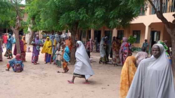 Insurgency: Group score FG high on resettlement of displaced persons