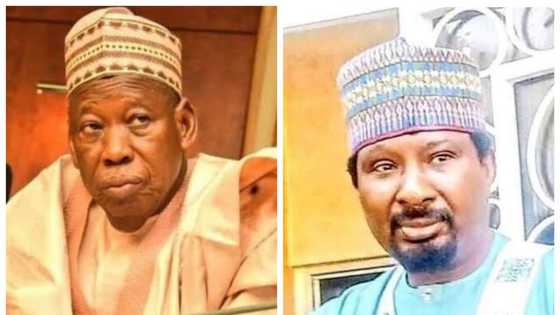 Da Dumi-Dumi: Barau ya janye daga takarar gwamnan Kano, zai fafata da Ganduje a 2023