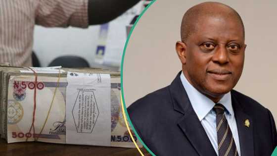 “Critical challenge”: CBN shares plan to tackle commoditization of naira