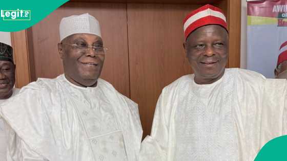 Kwankwaso ya magantu kan rikicin 'yan Kwankwasiyya da mutanen Atiku