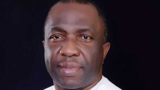 2023 election: Despite court sack, ADC nat’l chair refuses to step down, reveals next move