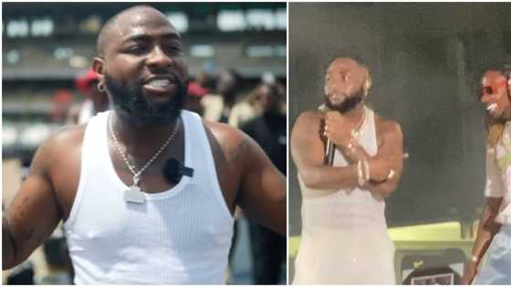 Video as Davido begs Asake to perform Joha before leaving the stage: "Agba performer"