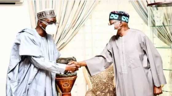 2023: Bayan Atiku, Tinubu Shima Yana Zawarcin Shekarau, Za Su Gana Ranar Laraba