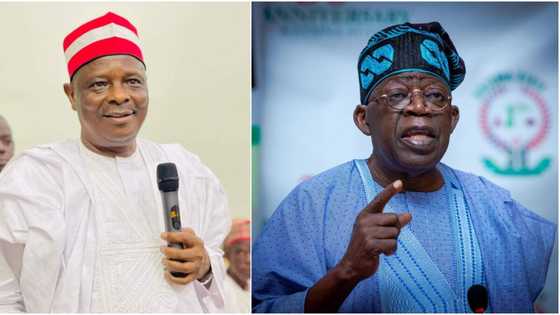 Bola Tinubu: Kwankwaso's fate revealed as Ganduje's commissioner makes woeful prediction