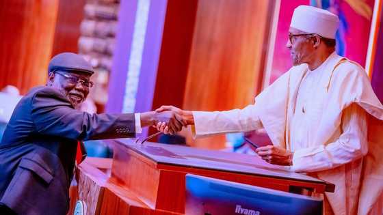 BREAKING: Buhari swears-in new appointee, presides over NEC meeting