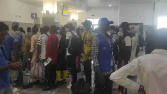 FG Ta Karɓi 'Yan Najeriya 147 Da Suka Maƙale a Jamhuriyar Nijar