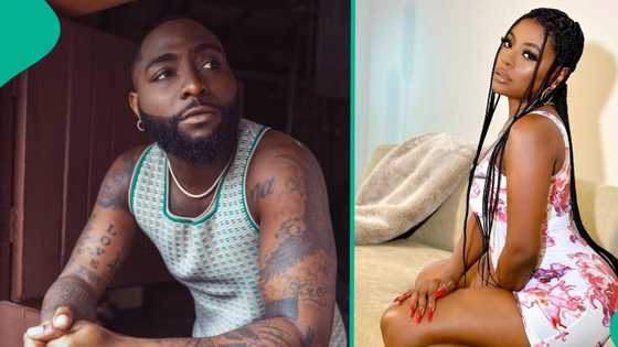 Sophia Momodu submits flirty WhatsApp chat with Davido as evidence in their child custody case