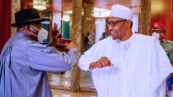 2023: Northern group demands 1 major thing from Buhari, APC as presidential declarations hit the roof