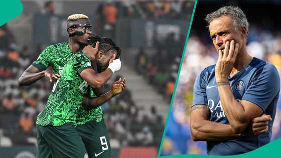 PSG reignite interest in Super Eagles star after Club World Cup loss to Chelsea