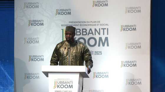 Senegal PM unveils economic recovery plan based on domestic resources