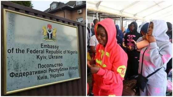 Are u waiting for 'Air Peace' again? Reactions as Embassy tells Nationals to protect themselves in Ukraine