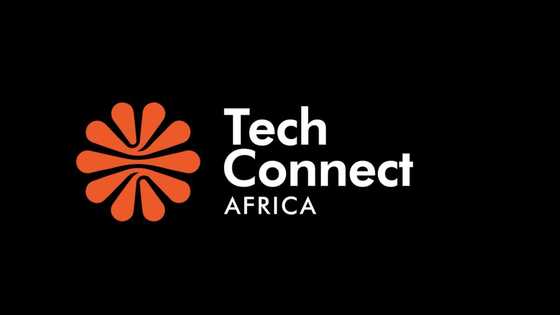 Unifying the African Diaspora through Tech Innovation: Tech Connect Africa's Flagship Conference in Lagos