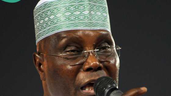 Tribunal verdict: Atiku makes fresh claims against PEPC